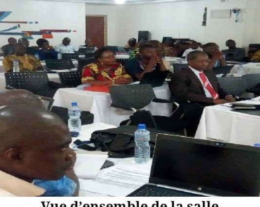 Vers la mise en place d’une micro planification du traitement de masse intégré contre les maladies tropicales négligées 2019.