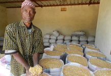 Plan de riposte agricole au Covid-19 : d’abondantes quantités d’engrais et de semences mobilisées.