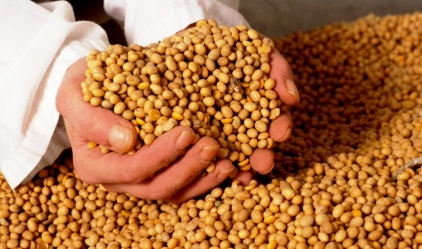 aa5045f13216477abf2a0e16a08acd59_L_copy_422x249