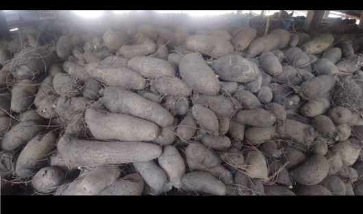 Screenshot_20210224-202044_copy_530x312