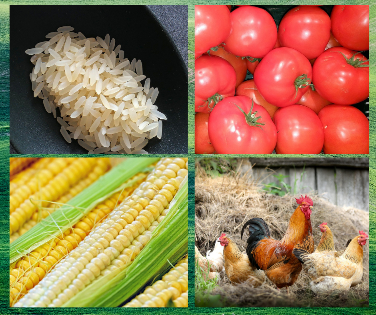 flx4784651624983542202106291929140_copy_376x315