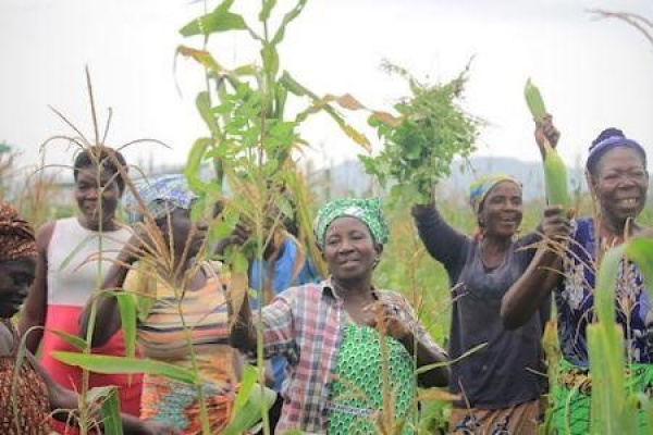 2c9e98c82540d7b9fa7536eecc29745e_L