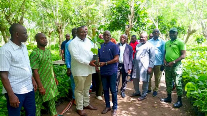 kpalime-au-coeur-d-une-strategie-de-relance-cafeiere-et-cacaoyere_i1200