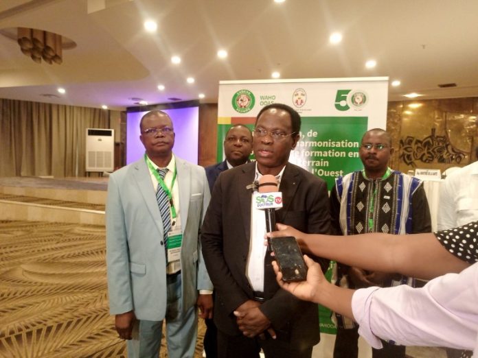 IMG_20250609_102453_075_copy_800x600